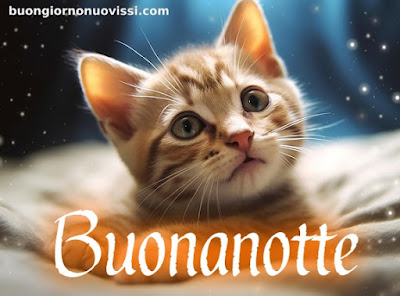 buona notte rilassante immagini