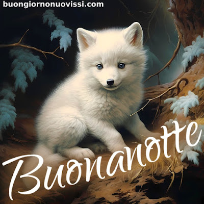 buona notte rilassante immagini