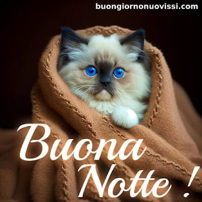 buona notte rilassante immagini