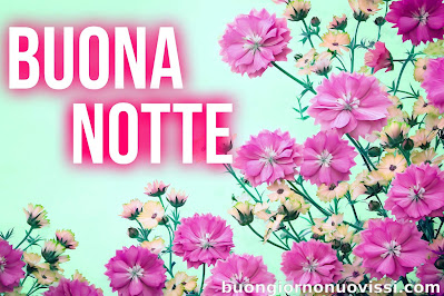 buona notte rilassante immagini