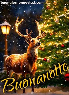 buona notte rilassante immagini