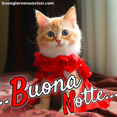 buona notte rilassante immagini