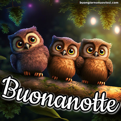 buona notte rilassante