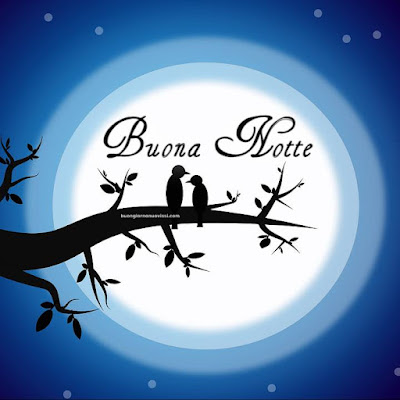 buona notte serena e tranquilla