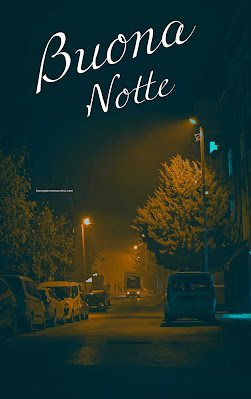 buona notte serena e tranquilla