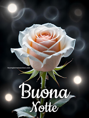 buona notte serena e tranquilla