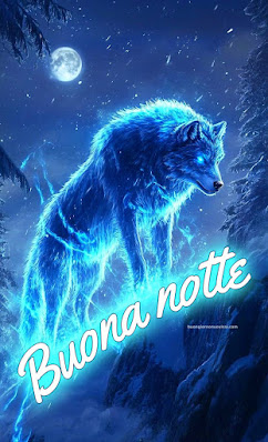 buona notte serena e tranquilla