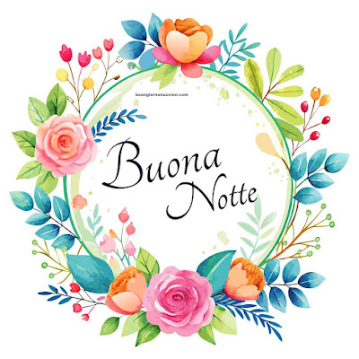 buona notte serena e tranquilla