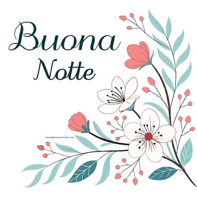 buona notte serena e tranquilla
