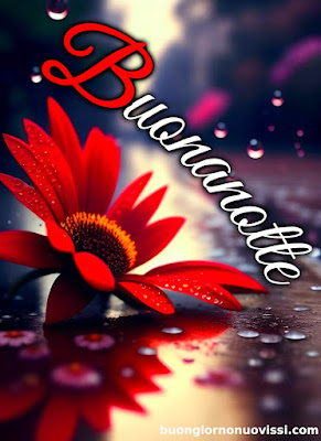 buona serata e buona notte immagini nuove gratis per whatsapp