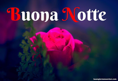 buona serata e buona notte immagini nuove gratis per whatsapp