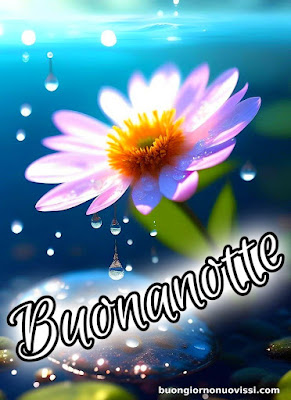 buona serata e buona notte immagini nuove gratis per whatsapp