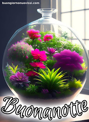 buona serata e buona notte immagini nuove gratis per whatsapp