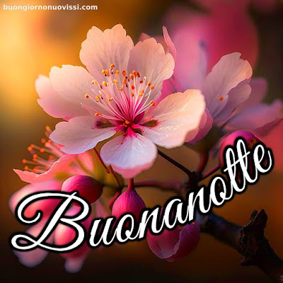 buona serata e buona notte immagini nuove gratis per whatsapp