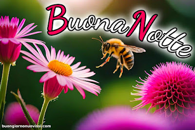buona serata e buona notte immagini nuove gratis per whatsapp