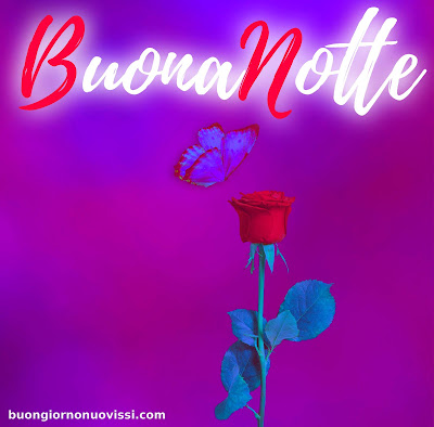 buona serata e buona notte immagini nuove gratis per whatsapp