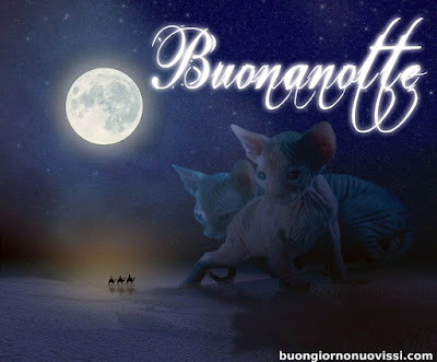 buona serata e buona notte immagini nuove gratis per whatsapp