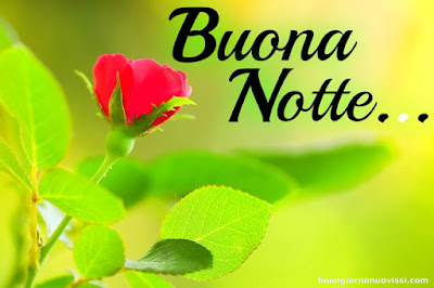 buona serata e buona notte immagini nuove gratis per whatsapp