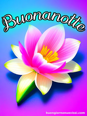 buona serata e buona notte immagini nuove gratis per whatsapp