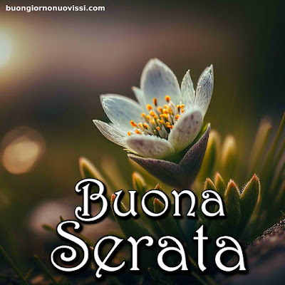 buona serata immagini bellissime gratis buona serata immagini bellissime gratis