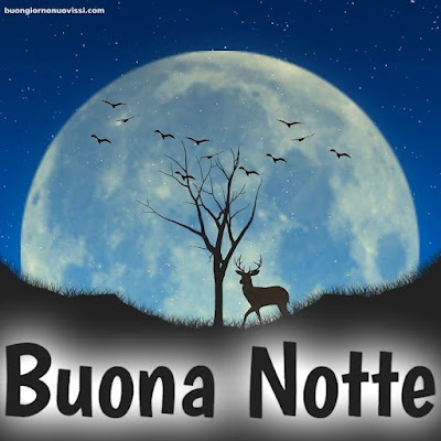 buona notte immagini nuove buona notte immagini nuove