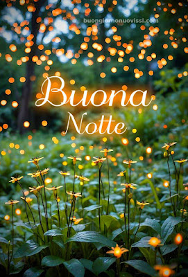 buonanotte a te immagini buonanotte a te immagini