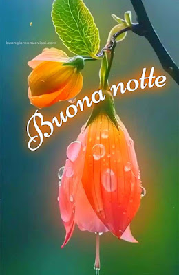 buonanotte a te immagini buonanotte a te immagini