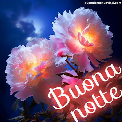 buonanotte bellissimi buonanotte bellissimi