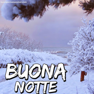 buonanotte bellissimi buonanotte bellissimi