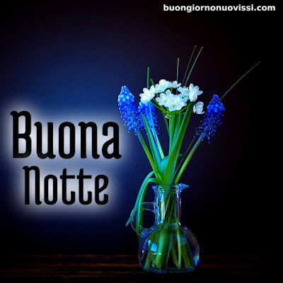 buonanotte divertente immagini nuove gratis