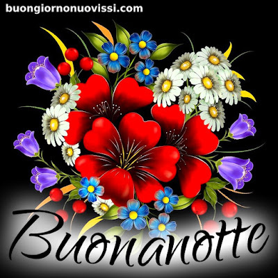 buonanotte divertente immagini nuove gratis