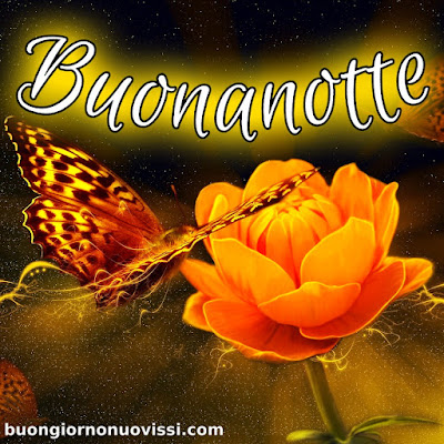 buonanotte divertente immagini nuove gratis