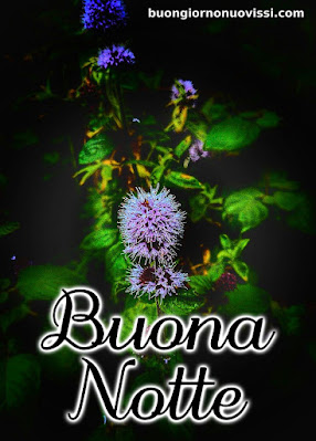 buonanotte divertente immagini nuove gratis