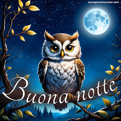 buonanotte immagini nuove 2024