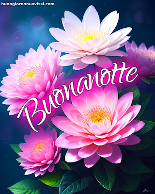 buonanotte immagini nuove