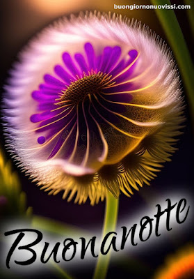 buonanotte immagini simpatiche