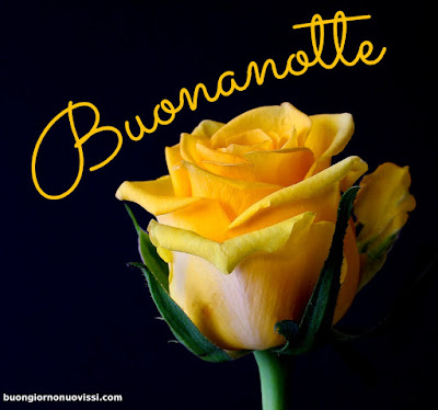 buonanotte immagini simpatiche