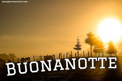 buonanotte immagini simpatiche