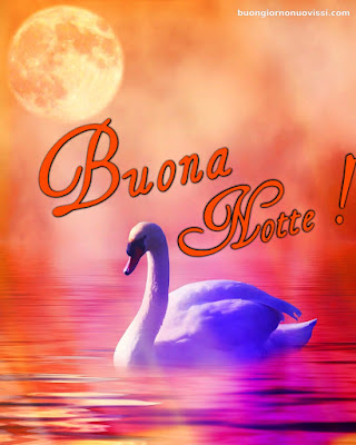 buonanotte immagini simpatiche