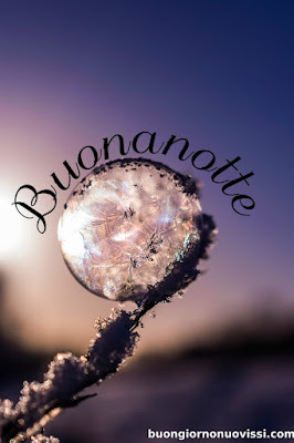 buonanotte immagini simpatiche
