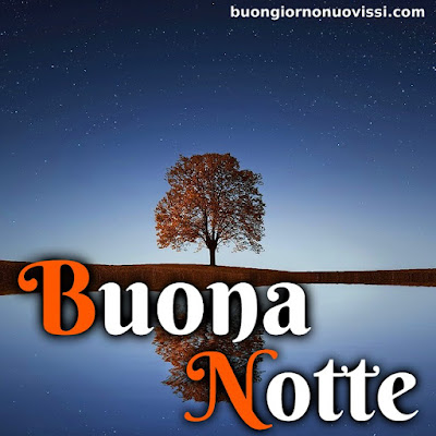 buonanotte originalissima gif whatsapp buonanotte originalissima gif whatsapp
