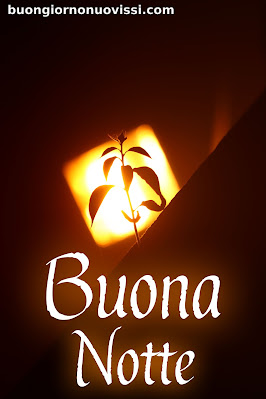 buonanotte originalissima gif whatsapp buonanotte originalissima gif whatsapp