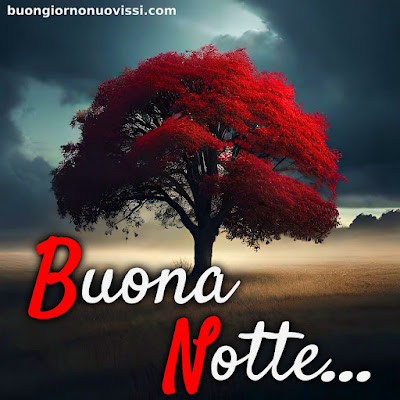 buonanotte originalissima gif whatsapp buonanotte originalissima gif whatsapp