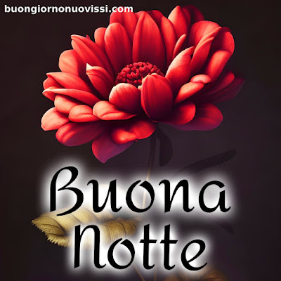 buonanotte originalissima gif whatsapp buonanotte originalissima gif whatsapp