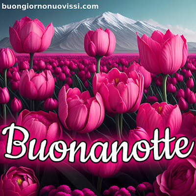 buonanotte originalissima gif whatsapp buonanotte originalissima gif whatsapp