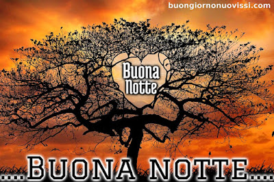 buonanotte originalissima gif whatsapp buonanotte originalissima gif whatsapp