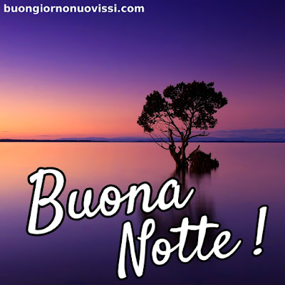 buonanotte originalissima gif whatsapp buonanotte originalissima gif whatsapp