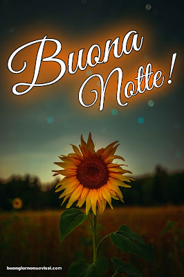 buonanotte originalissima buonanotte originalissima