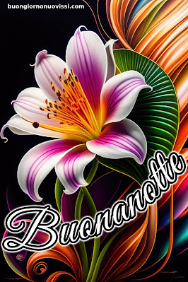 buonanotte originalissima buonanotte originalissima