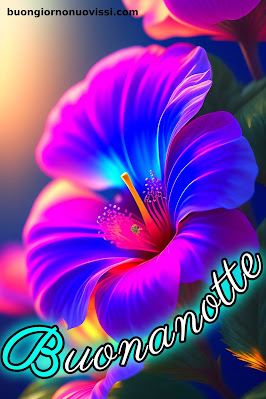 buonanotte originalissima buonanotte originalissima